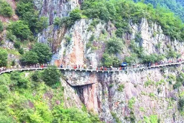 “旅游过年”受欢迎 三亚“提前订”热度高涨